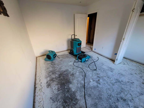 Best Water damage restoration near me  in Southgate, MI