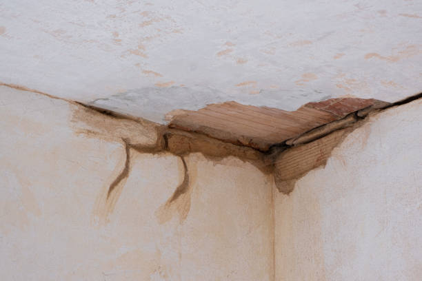 Best Sewage cleanup and water damage restoration  in Southgate, MI