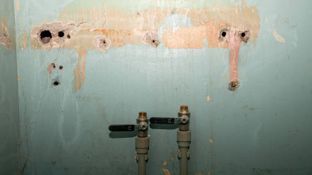Best Flooded house restoration  in Southgate, MI