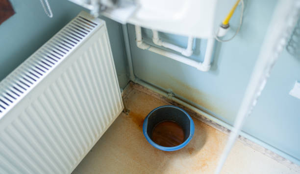 Best Flood damage cleanup  in Southgate, MI